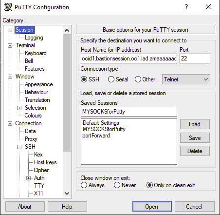 Putty Session Screen