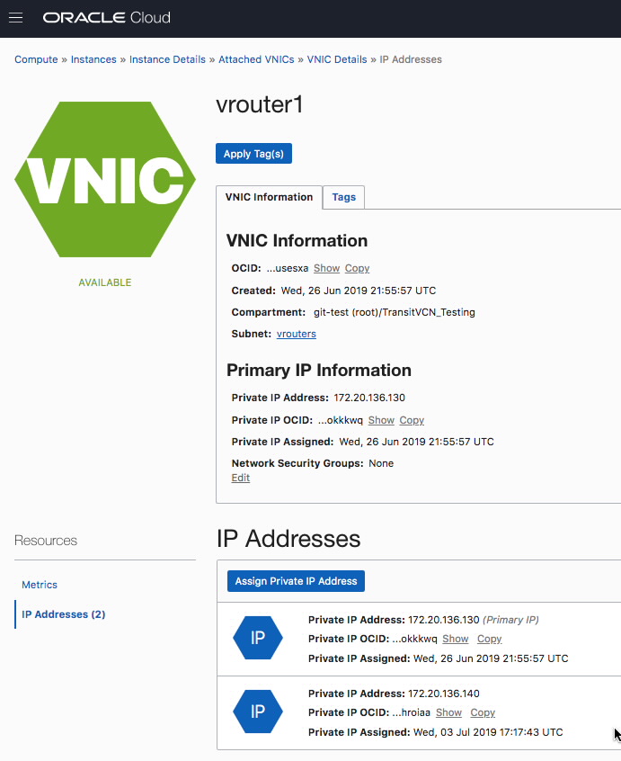 VNIC Details with multiple IPs