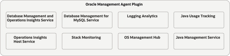 Oracle Management Agent Plugins