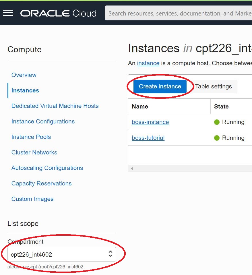 Create an Oracle OCI Compute instance