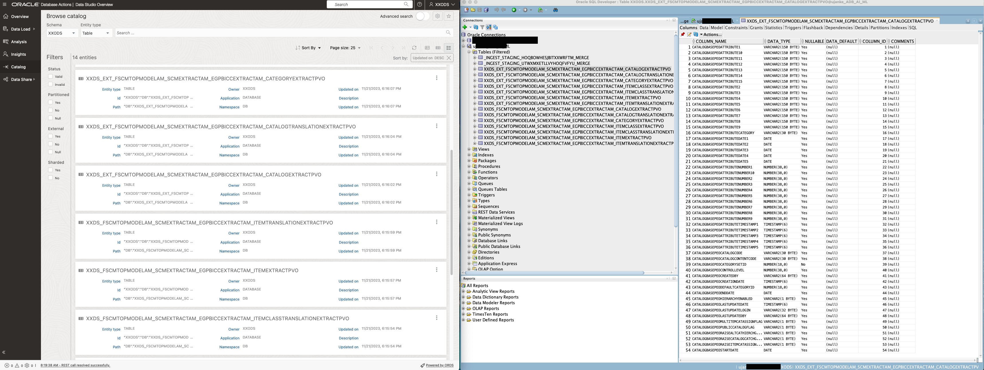 Object Catalog visible and accessible via Web UI and SQL Developer