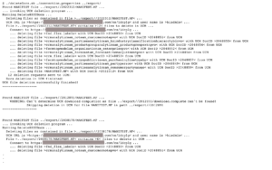 09_OutputFileDeletionScript