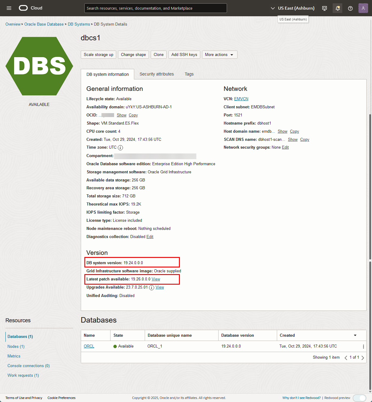 DB system before patching