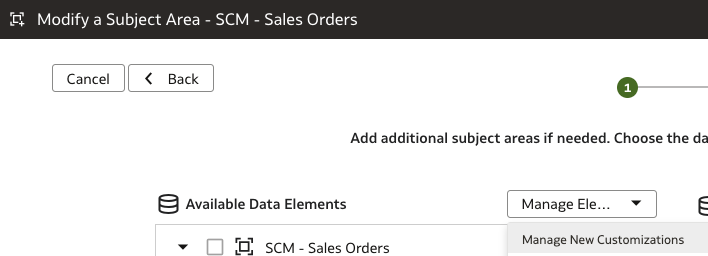 Manage New Customizations