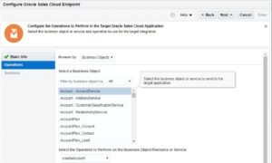 14_NetSuiteToSalesCloudIntegration_ConfigureSalesCloudInvoke02