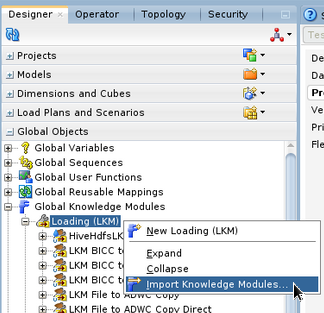 Import Knowledge Module picture