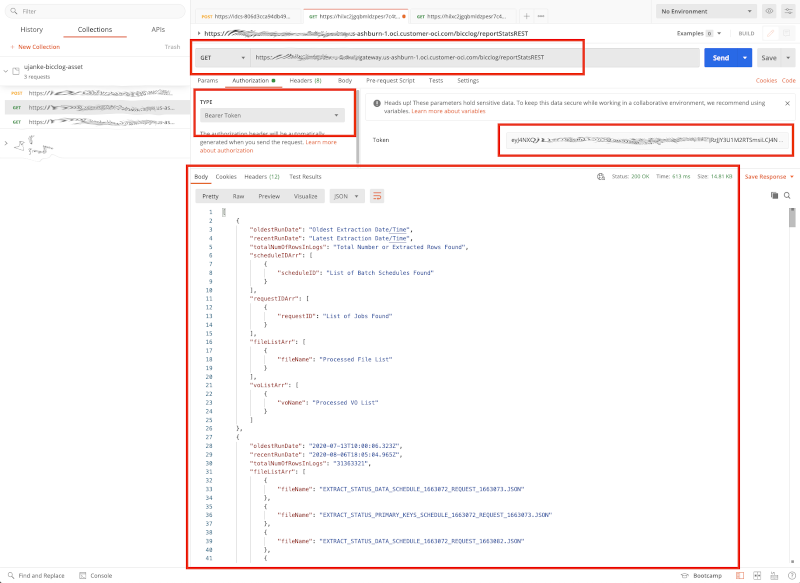 Testing via Postman - Results of a successful REST API Call