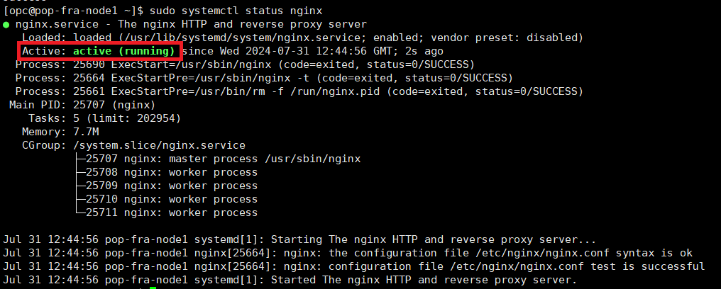 nginx_status