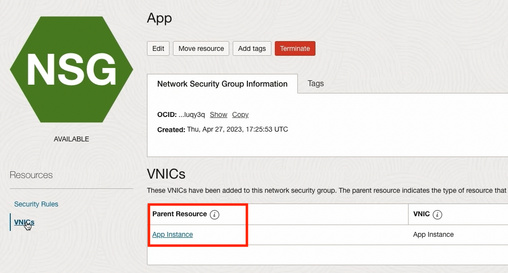 APP NSG VNIC SCREENSHOT
