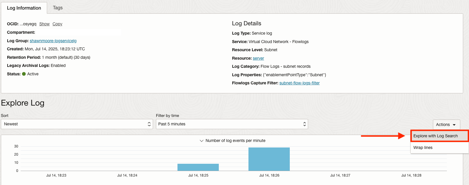 Access Flow Log Filters