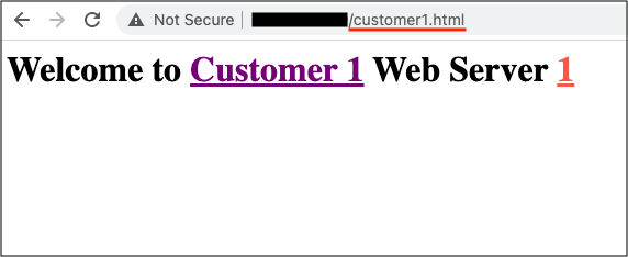 Customer 1 Web Server 1