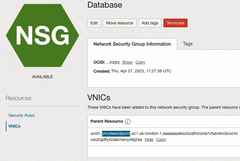 DB NSG VNIC SCREENSHOT