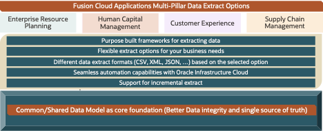 Data Extraction Options and Guidelines for Oracle Fusion Applications Suite