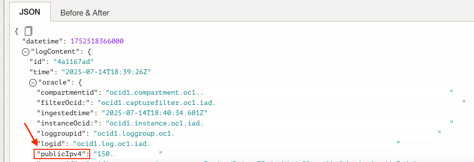 JSON OCI metadata PubIP