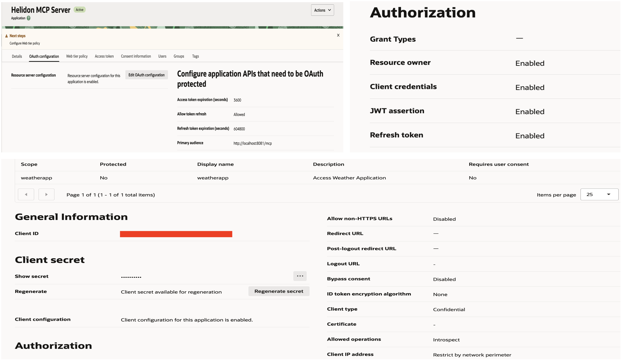 MCP Client Application