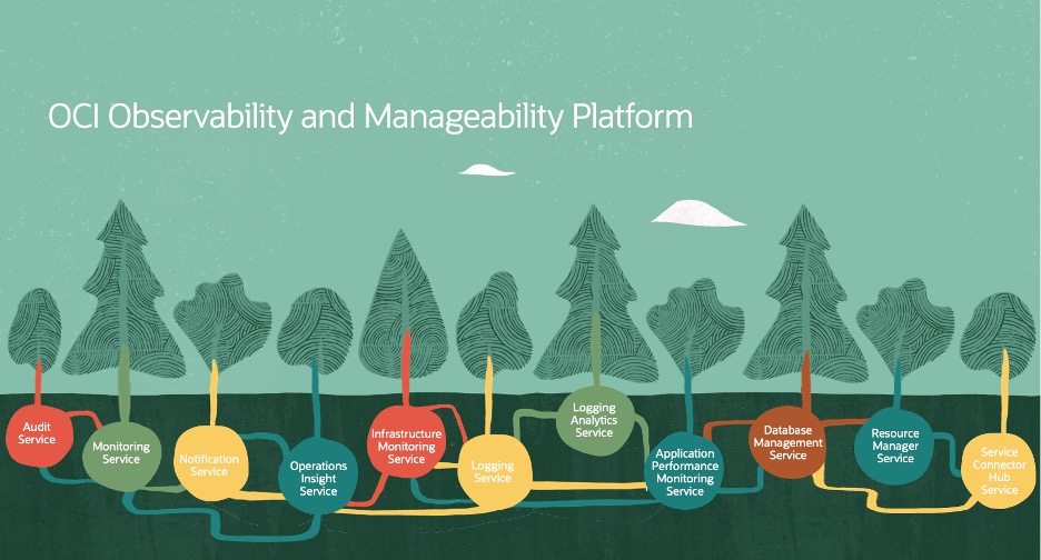Observability and Management Platform