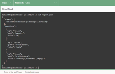 Figure-4c-iii: Patch Condition