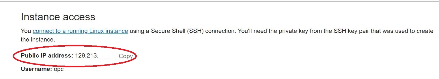 Get public IP address