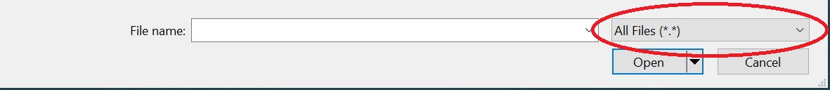 Set file type to All Files