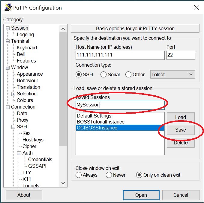 Save the PuTTY session details