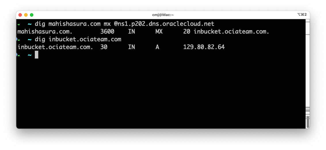 Check MX and A records with dig