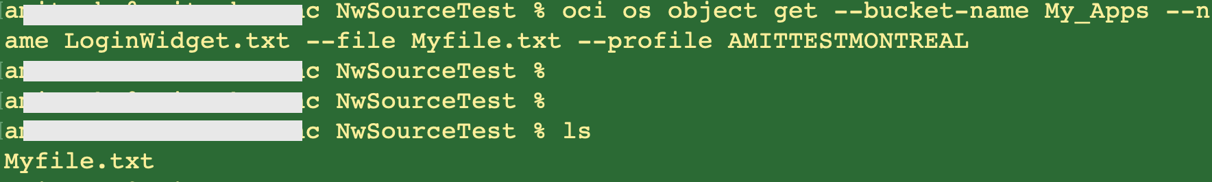 Object Storage bucket access success