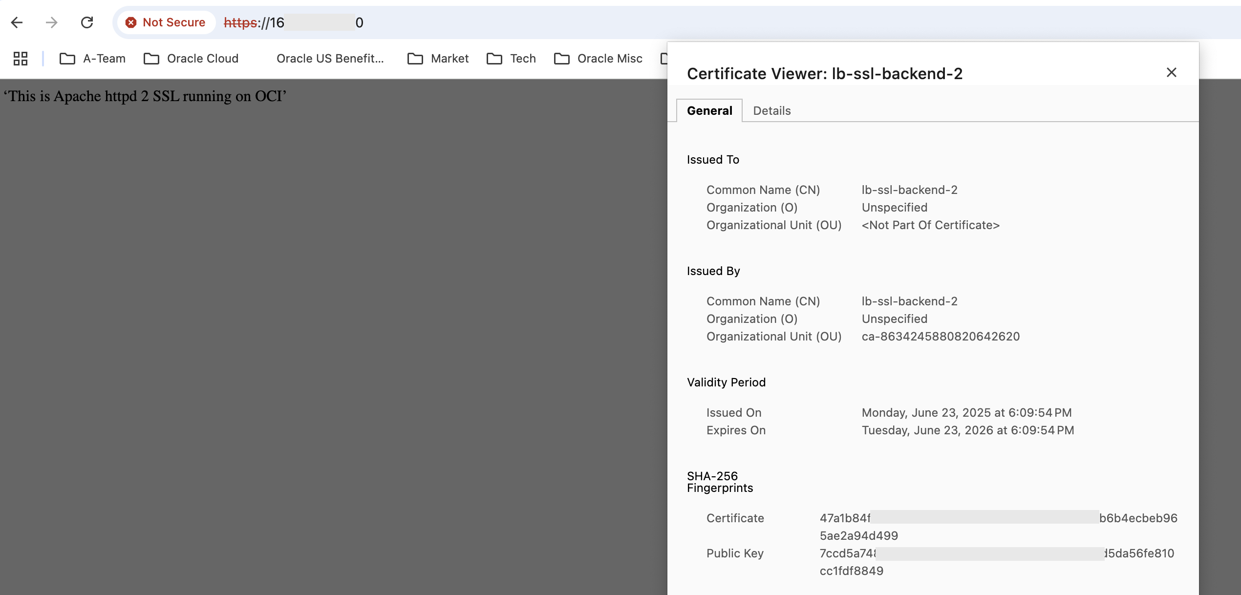 SSL tunneling backend 2