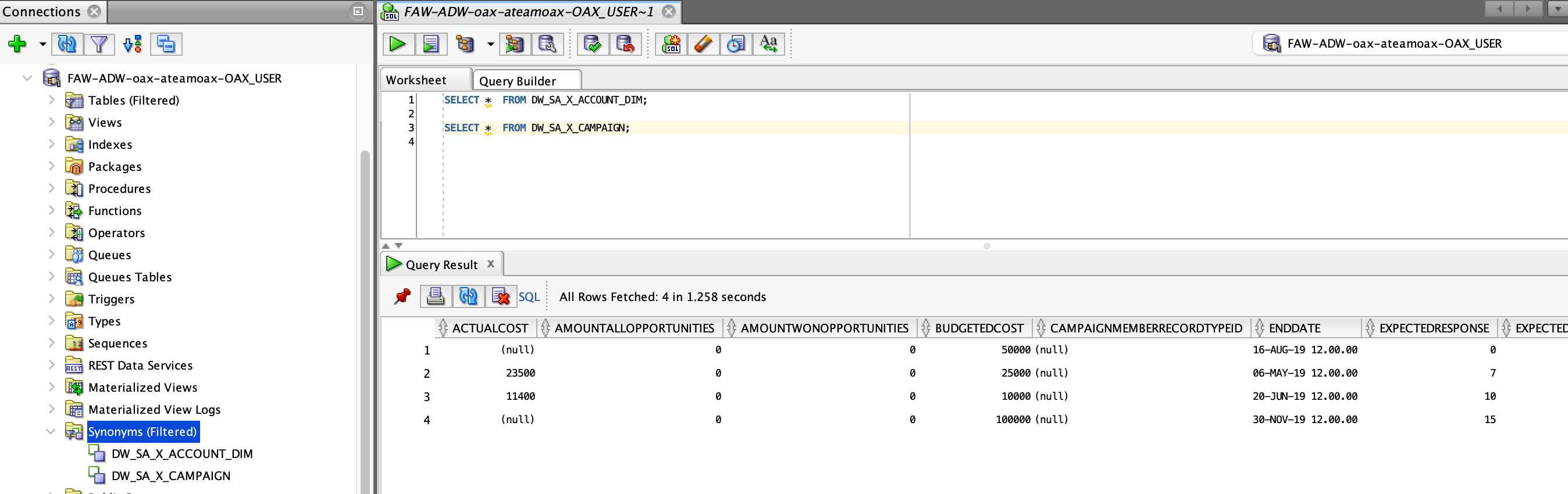 VM-707-24-CampaignDIM in SQL Dev