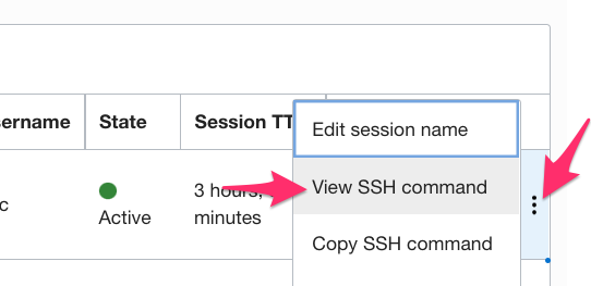 Click to view the SSH command line