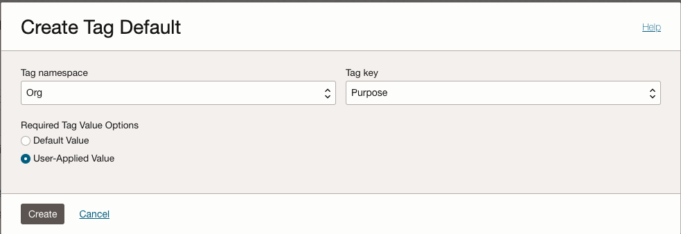Figure 3. Create User-Applied Value Tag Default