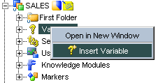 Create New Variable