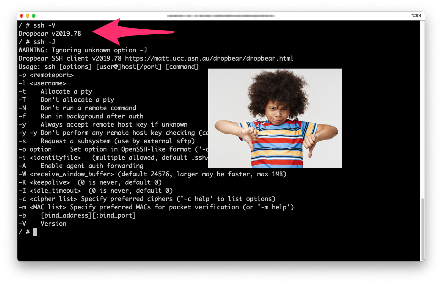 Dropbear makes me sad