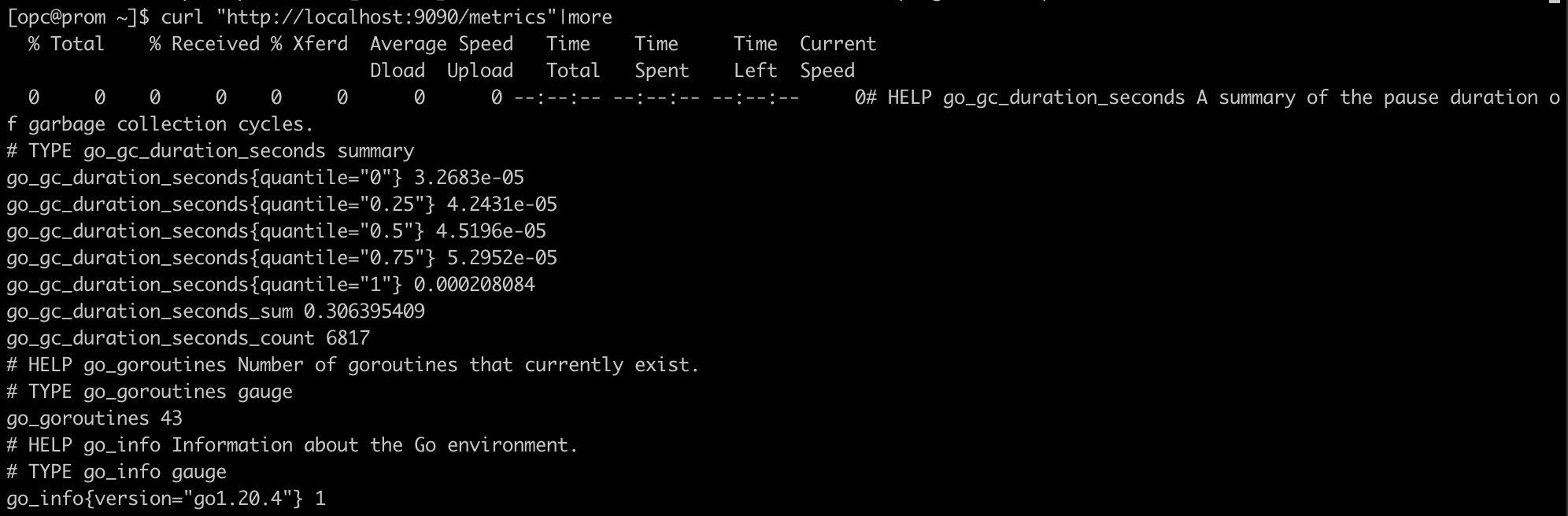 Output of curl prometheus metrics