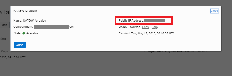NATGW public IP address