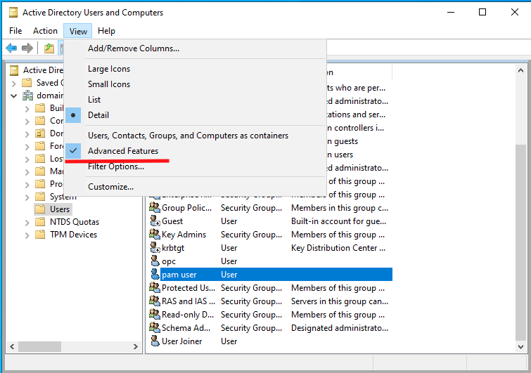 Active Directory Users and Computers Advanced Options