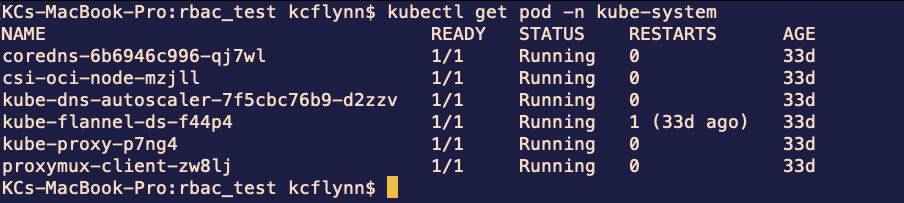 Success Getting Pods in Namespace