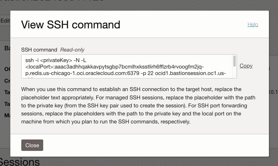 View SSH command