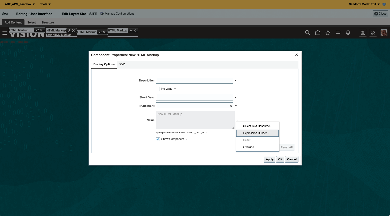 Figure 11: Open Expression