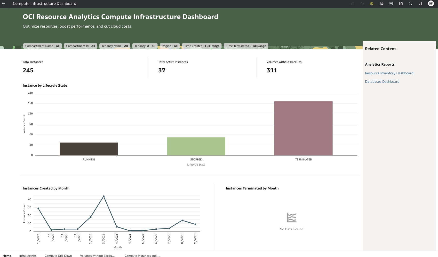 Figure 2: OCI Resource Analytics Compute Dashboard