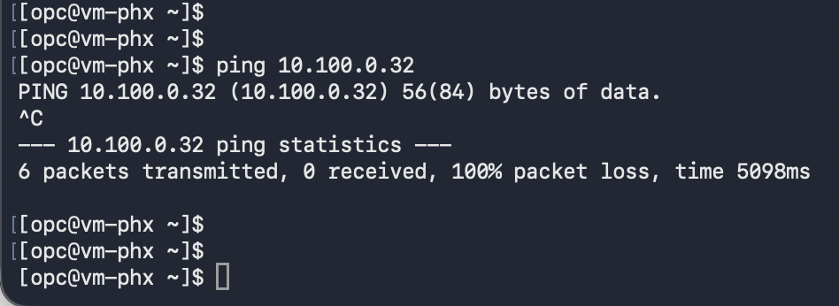 Ping Test from the Ashburn VM